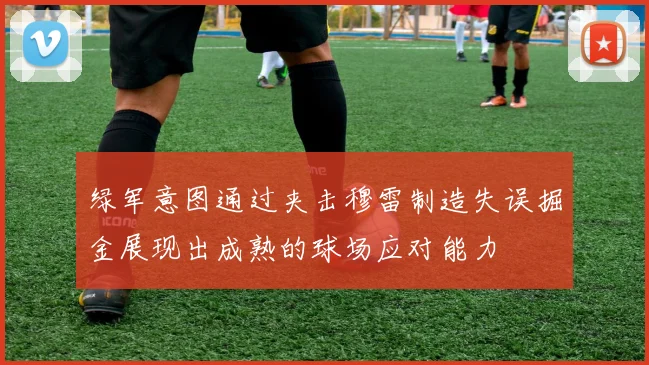 绿军意图通过夹击穆雷制造失误掘金展现出成熟的球场应对能力